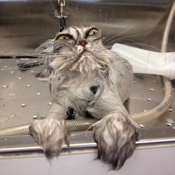 GraydeOut for Viking